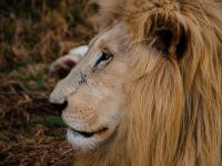 228f13fbf882f31ea01bcd3534104876 Exposed Photography | Fine Art Landscape & Portrait Photographer