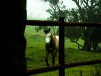 5422c72affa5581c3027b395768ce477 Exposed Photography | Fine Art Landscape & Portrait Photographer