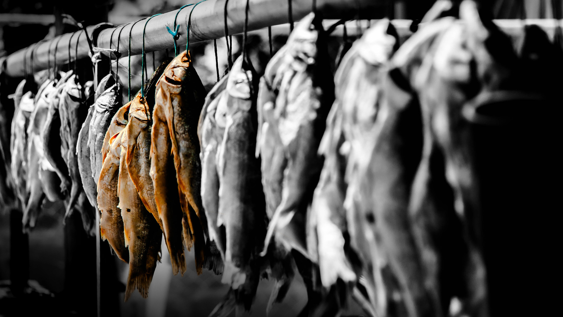 fpss-strung-out image fpss-strung-out Exposed Photography | Fine Art Landscape & Portrait Photographer