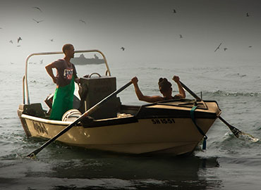 misty-morning Exposed Photography | Fine Art Landscape & Portrait Photographer