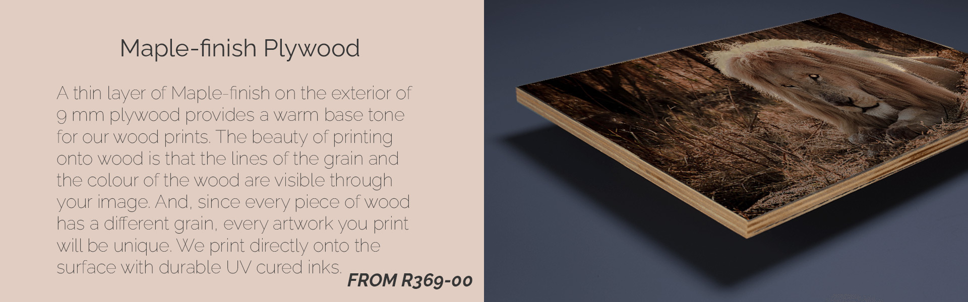 wood-001 Cape Town Harbour