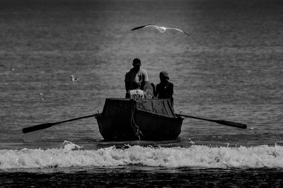 coming-home Coming Home