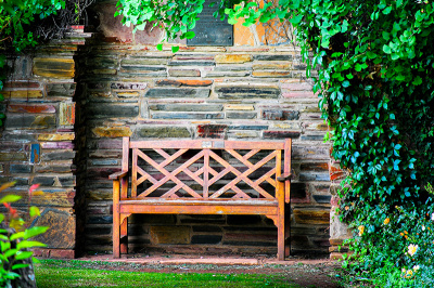 jhb-botalical Joburg Botanicle