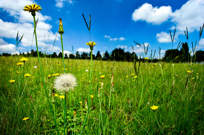 jus-dandy_1308422943 Just Dandy