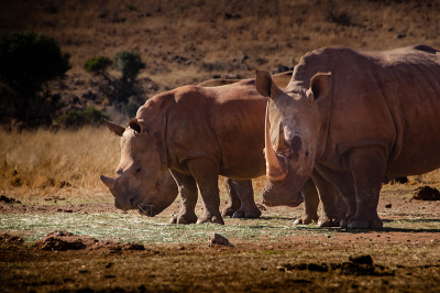 still-got-mine Still got mine